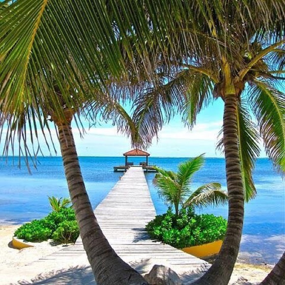 Meet your Posher, Bryan - Picture 1 of 1